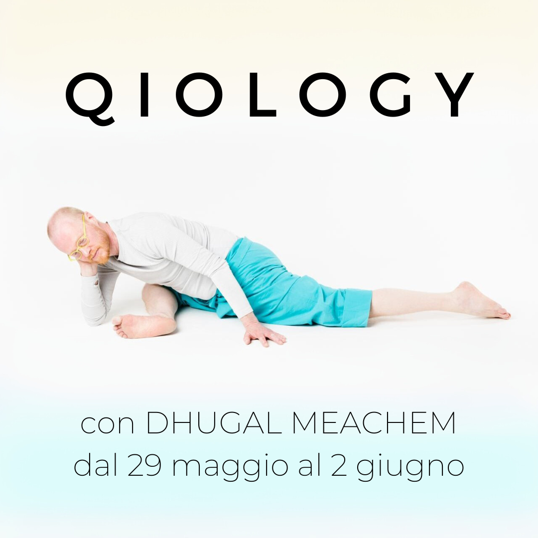 QIOLOGY: FONDAMENTI (50h) – I Canali Yang Con Dhugal Meachem